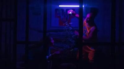  فیلم ممنوعه امیر جدیدی و لیلی رشیدی منتشر شد