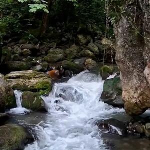 دو چهره از جاهای دیدنی ایران