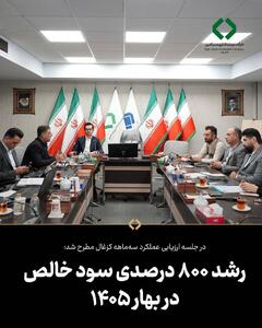  رشد ۸۰۰ درصدی سود خالص در بهار ۱۴۰۵