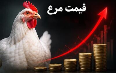 قیمت به روز مرغ و تخممرغ امروز دوشنبه ۱۹ مرداد ۱۴۰۵؛ تخم مرغ شانه ای چند؟