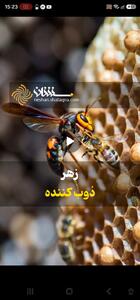  زهر ذوب کننده