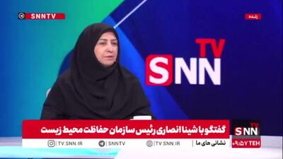 انصاری: محیط زیست باید محور توسعه باشد / اگر محیط زیست را فدای توسعه اقتصادی کنیم آن توسعه ناپایدار خواهد بود
