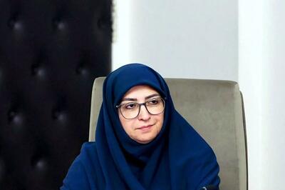 انصاری: نگاه توسعه اقتصادی کشور محیط زیست محور نبود/ در بدنه اداری کشور محیط زیست را محیط ایست تلقی میکنند! + فیلم