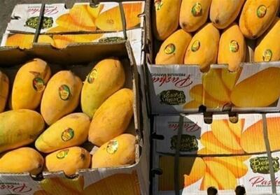  آغاز ثبت سفارش واردات انبه و چای - تسنیم