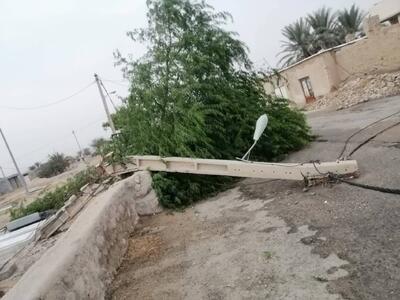 خسارت ۹۷۰ میلیارد ریالی طوفان چهل پسین به شبکه برق فارس