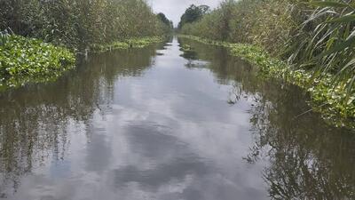 تلاش برای افزایش ماندگاری آب در تالاب انزلی