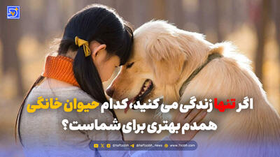  اگر تنها زندگی می کنید، کدام حیوان خانگی همدم بهتری برای شماست؟
