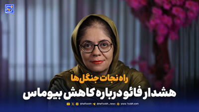  راه نجات جنگل‌ها بازگشت به مدیریت پایدار است؛ هشدار فائو درباره کاهش بیوماس