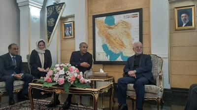 وزیر کشور پاکستان وارد تهران شد
