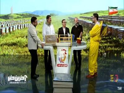  عشق به زنبورها در یک نگاه!