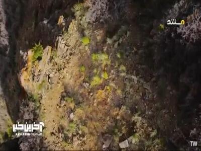  مار زنگی، قهرمان گرسنگی!
