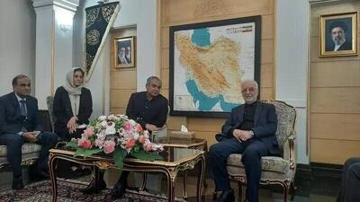 وزیر کشور پاکستان وارد تهران شد