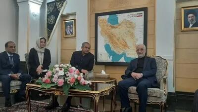  وزیر کشور پاکستان وارد تهران شد