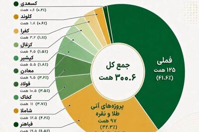 صدر تامین در مسیر بازتعریف ارزش بازار قرار گرفت/ ارزش پنهان تاصیکو فراتر از پرتفوی ۲۰۳ همتی