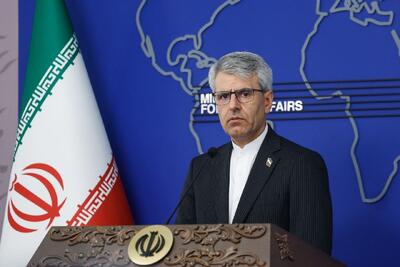 بقائی: آمریکا همدست و شریک همه جنایات اسرائیل است