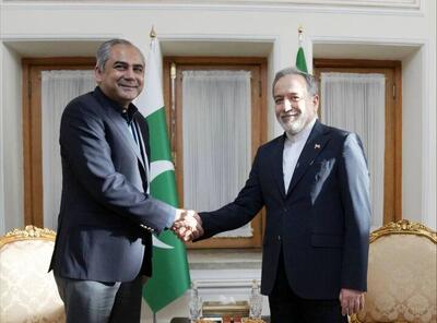 وزیر کشور پاکستان با عراقچی دیدار و گفتوگو کرد+ عکس