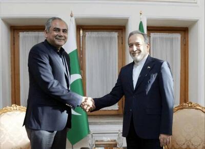  وزیر کشور پاکستان با عراقچی دیدار کرد - اکونیوز