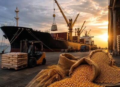کالای غذایی از تحریمهای بینالمللی معاف است - اکونیوز