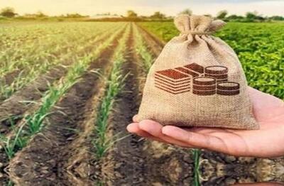 سند راهبردی صندوق بیمه کشاورزی در افق ۱۴۱۰ - اکونیوز