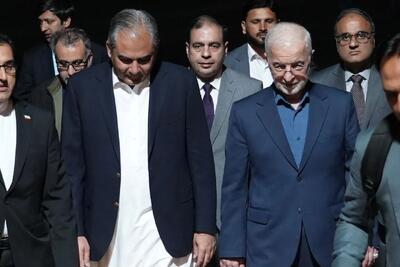 وزیر کشور پاکستان عازم تهران شد