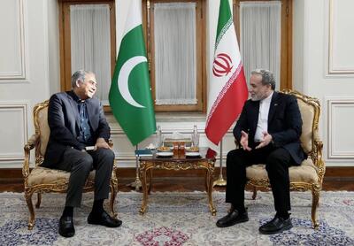 دیدار و گفتوگوی عراقچی و وزیر کشور پاکستان
