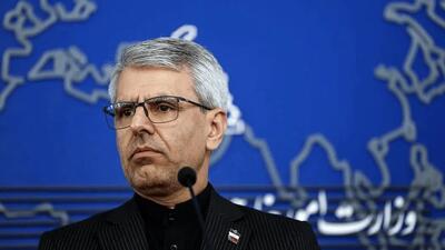  بقائی: قانون را با یک پست نمی‌توان بازنویسی کرد