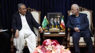 وزیر کشور پاکستان عازم تهران شد