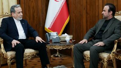 دیدار سفیر و نماینده دائم ایران نزد دفتر ملل متحد و سازمانهای بینالمللی در وین با عراقچی