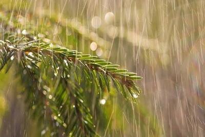 صدور هشدار زرد هواشناسی در فارس/ رگبار و رعد و برق از فردا آغاز میشود