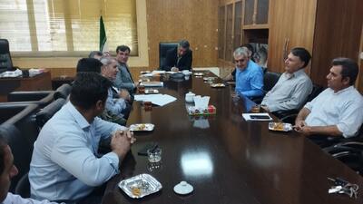 رفع موانع تولید مرغ در ایلام با اقدامات اجرایی و حمایتهای مالی