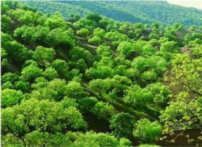  طبیعت بکر، بومگردی‌های نوپا و گردشگری سلامت؛ سه ضلع مثلث گردشگری ایلام