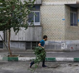 هشدار نسبت به وزش تندباد در تهران/ بارش باران در دامنهها و ارتفاعات