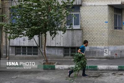 هشدار نسبت به وزش تندباد در تهران/ بارش باران در دامنهها و ارتفاعات