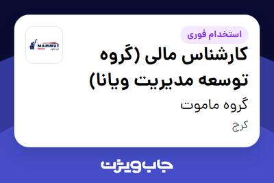استخدام کارشناس مالی (گروه توسعه مدیریت ویانا) در گروه ماموت
