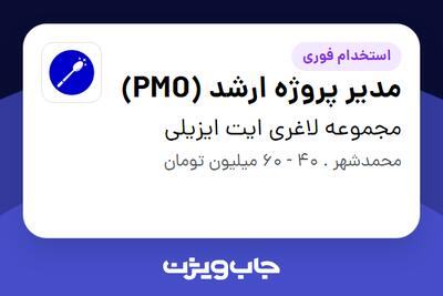 استخدام مدیر پروژه ارشد (PMO) در مجموعه لاغری ایت ایزیلی