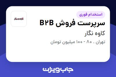  استخدام سرپرست فروش B2B در کاوه نگار