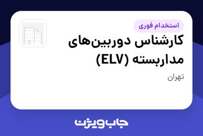 استخدام کارشناس دوربینهای مداربسته (ELV) - آقا در سازمانی فعال در حوزه کالاهای مصرفی و تند گردش