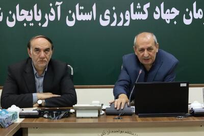 پایانههای صادراتی؛ حلقه مفقوده صادرات کشاورزی آذربایجان شرقی