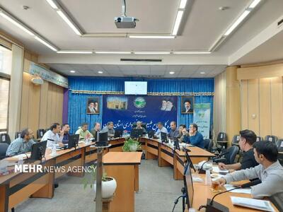 ظرفیت ۴۷۴ هکتاری بیارجمند برای جهش تولید بذور مرتعی کشور