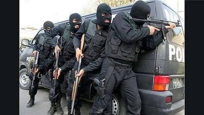 گزارش اولیه پلیس از گروگانگیری یک زن در پارک ساعی / گروگان پرستار خانگی بود