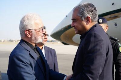 استقبال وزیر کشور ایران از همتای پاکستانی در تهران - سلام نو
