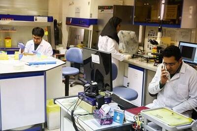 یک مسئول: حقوق پژوهشگران پسادکتری فناوری دانشبنیان با اعتبار مالیاتی تا دو برابر افزایش مییابد