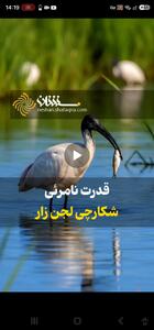  قدرت نامرئی شکارچی لجن‌زار