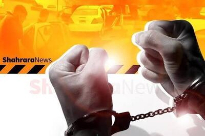 ویدئو | خلع سلاح گروگانیگر خیابان ولیعصر توسط پلیس نوپو