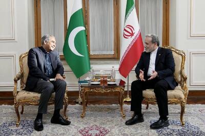 وزیر کشور پاکستان با عراقچی وزیر امور خارجه ایران دیدار کرد
