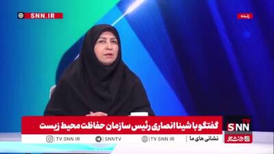  انصاری: مدیریت محیط زیست باید یکپارچه باشد / بعد از آب شرب اولویت تخصیص آب با محیط زیست است
