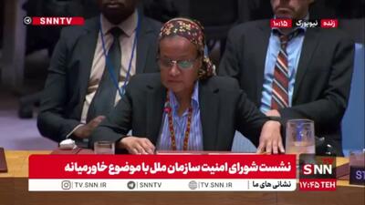 نماینده یونیسف در شورای امنیت: شهادت ۱۷۴ کودک فلسطینی و زخمیشدن ۱۵۰۰ کودک توسط رژیم کودک کش صهیونیستی