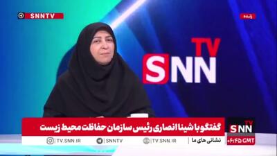 انصاری: باید به سمت روشها و فناوریهای هوشمند کشاورزی برویم