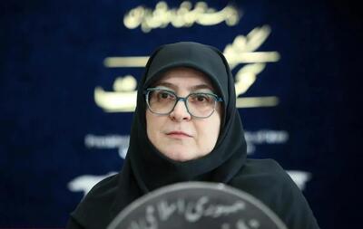 قول سخنگوی دولت برای پیگیری مسئله جابهجایی اموال هنرهای ملی