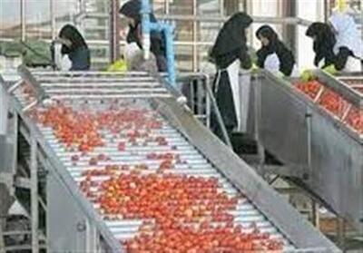  توسعه صنایع تبدیلی هدف مشترک توسعه اقتصادی همدان و کردستان - تسنیم